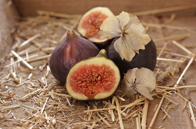 The fig tree produces a sweet and healthy fruit.  We should too.