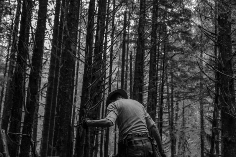 You always need a good mushroom stick when out mushroom hunting - Mushroom sticks, spiders and snakes.