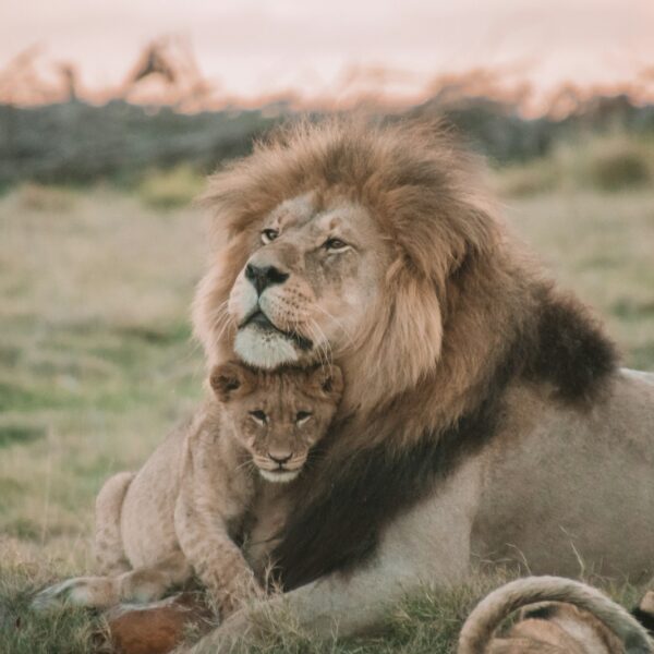 God's Got Me - He Says so as He is a protector.