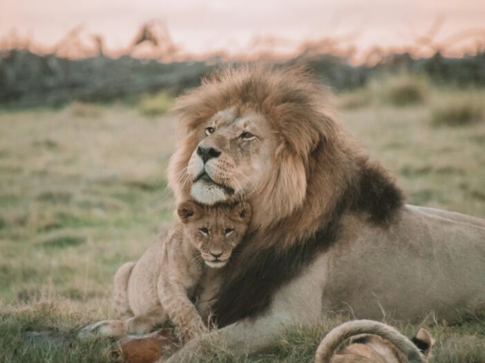 God's Got Me - He Says so as He is a protector.
