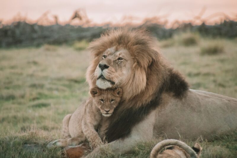 God's Got Me - He says so. He is our protector, our defender.